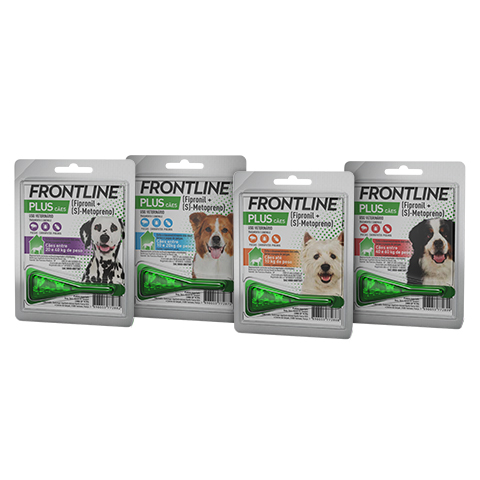 Frontline Plus Cães - Família